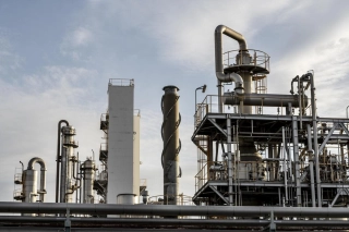 gasplant plant